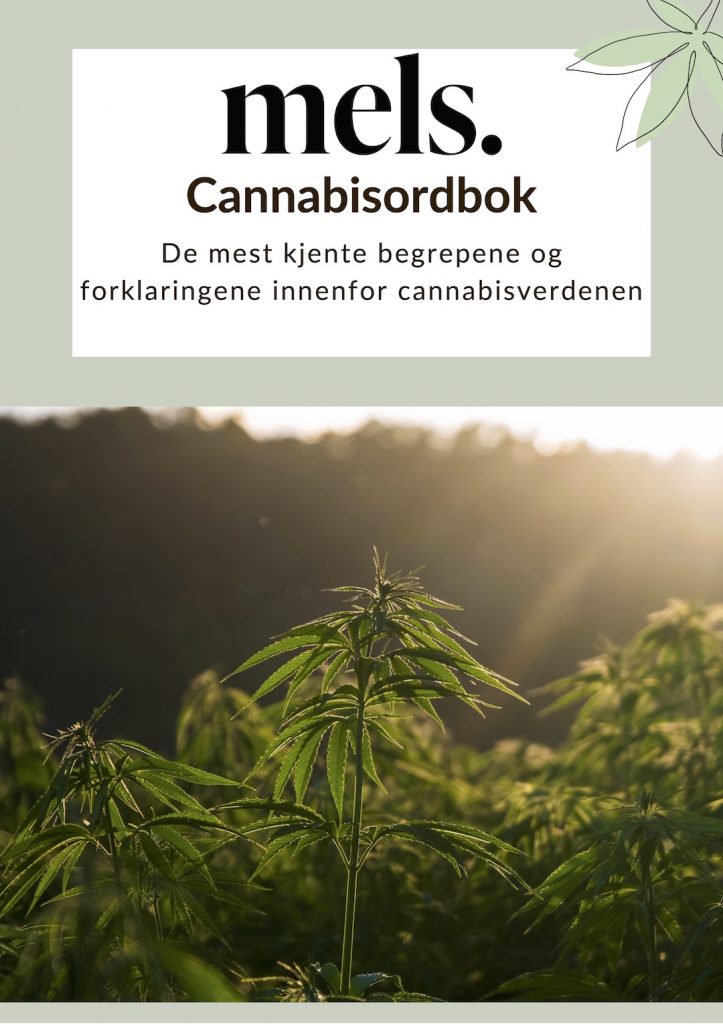 cannabisordbok forside